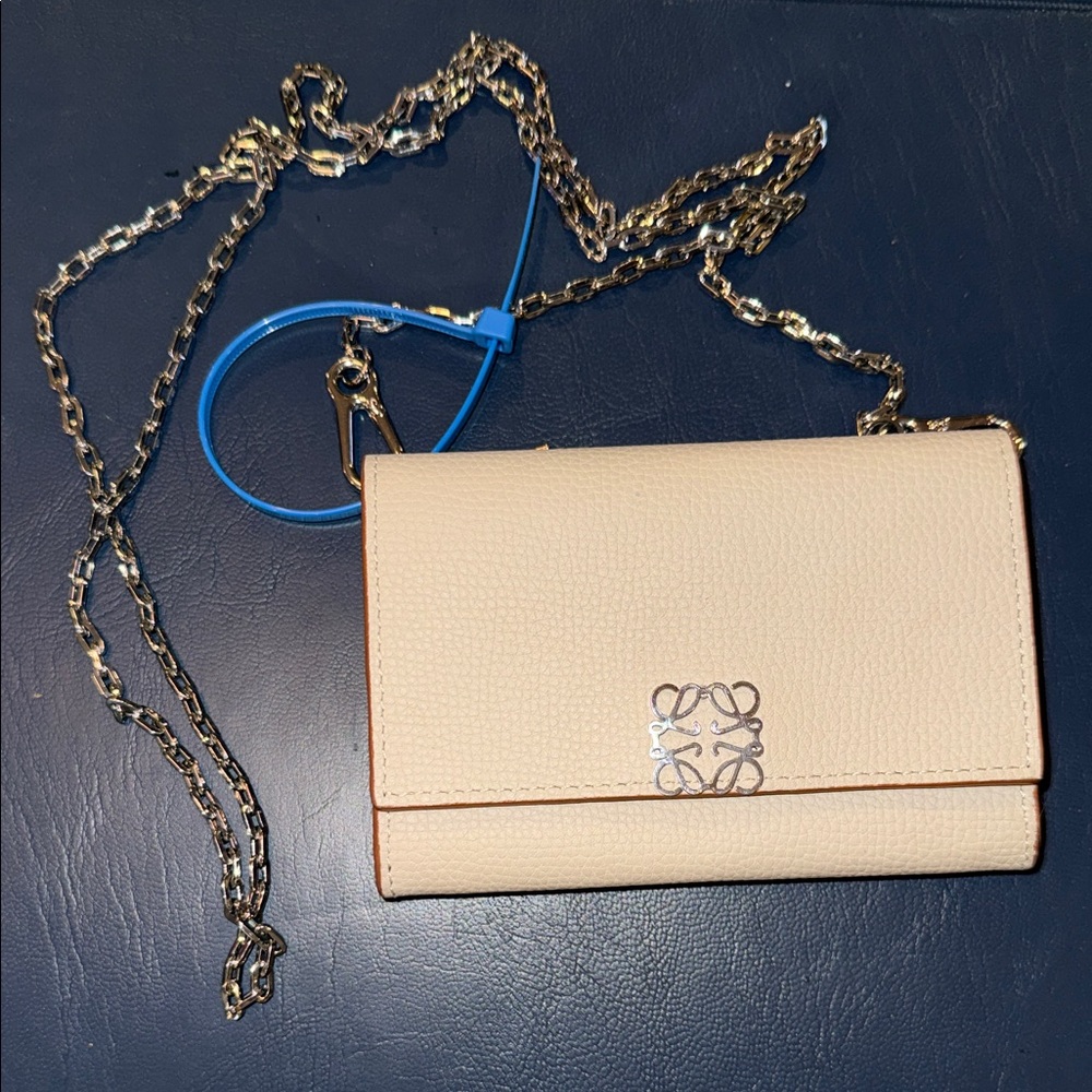 Loewe small Crossbody Wallet with Chain Strap